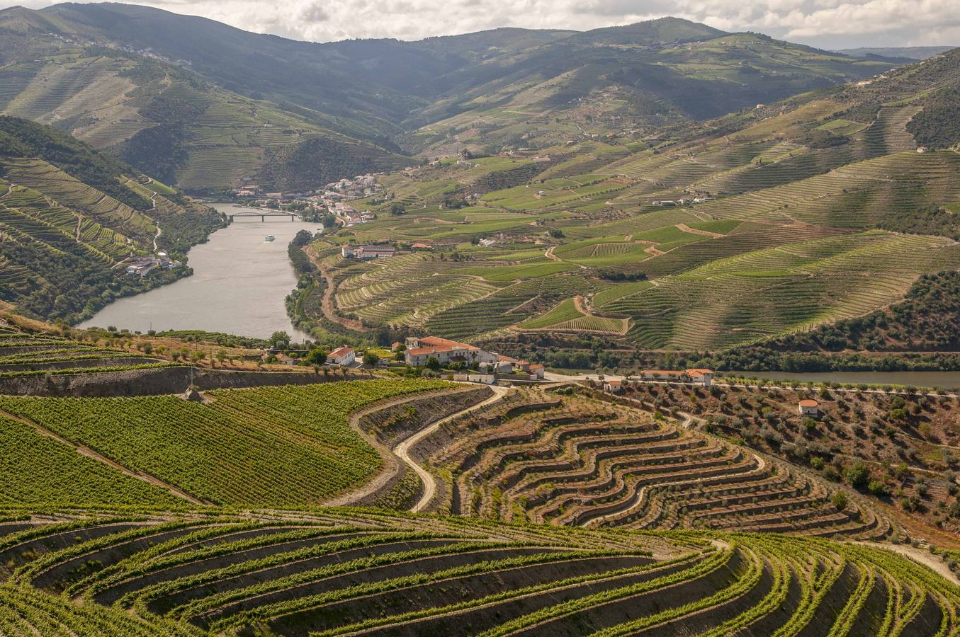 Vinhas em socalcos sobre o rio Douro