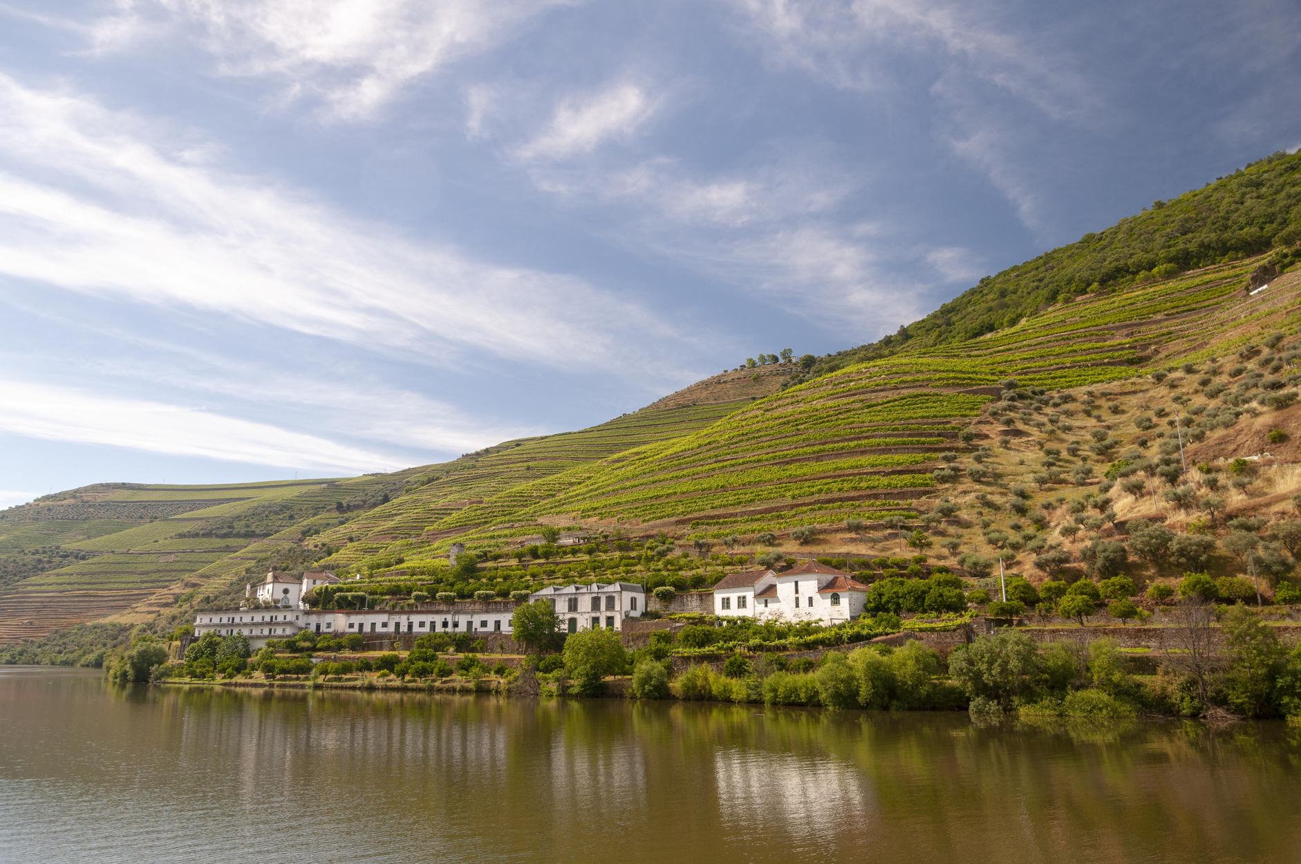 Uma quinta à beira do rio Douro, entre vinhas em socalcos